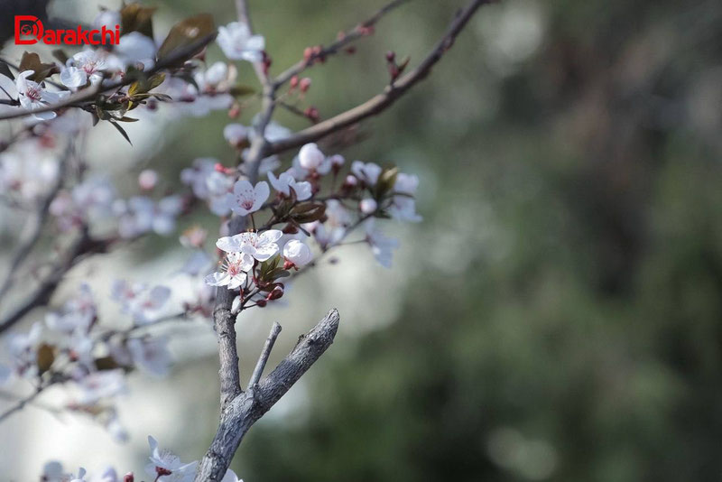 'Бугун айрим вилоятларда ҳаво 30 даражагача исийди'ning rasmi