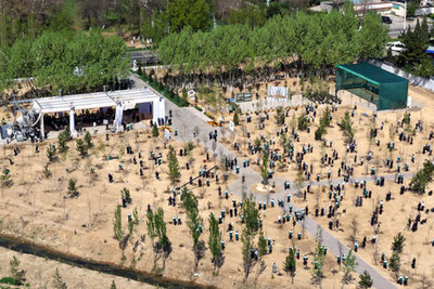 Изрображение 'В Ташкенте началось создание Национального дендрологического парка'