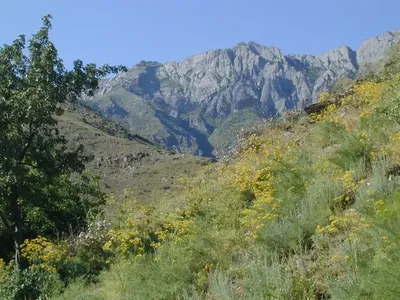 Изрображение 'Площадь природных парков увеличили до 15,9% территории страны'