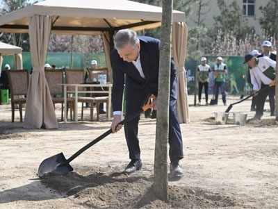 'Shavkat Mirziyoyev “Yashil makon” doirasida ko‘chat ekdi'ning rasmi