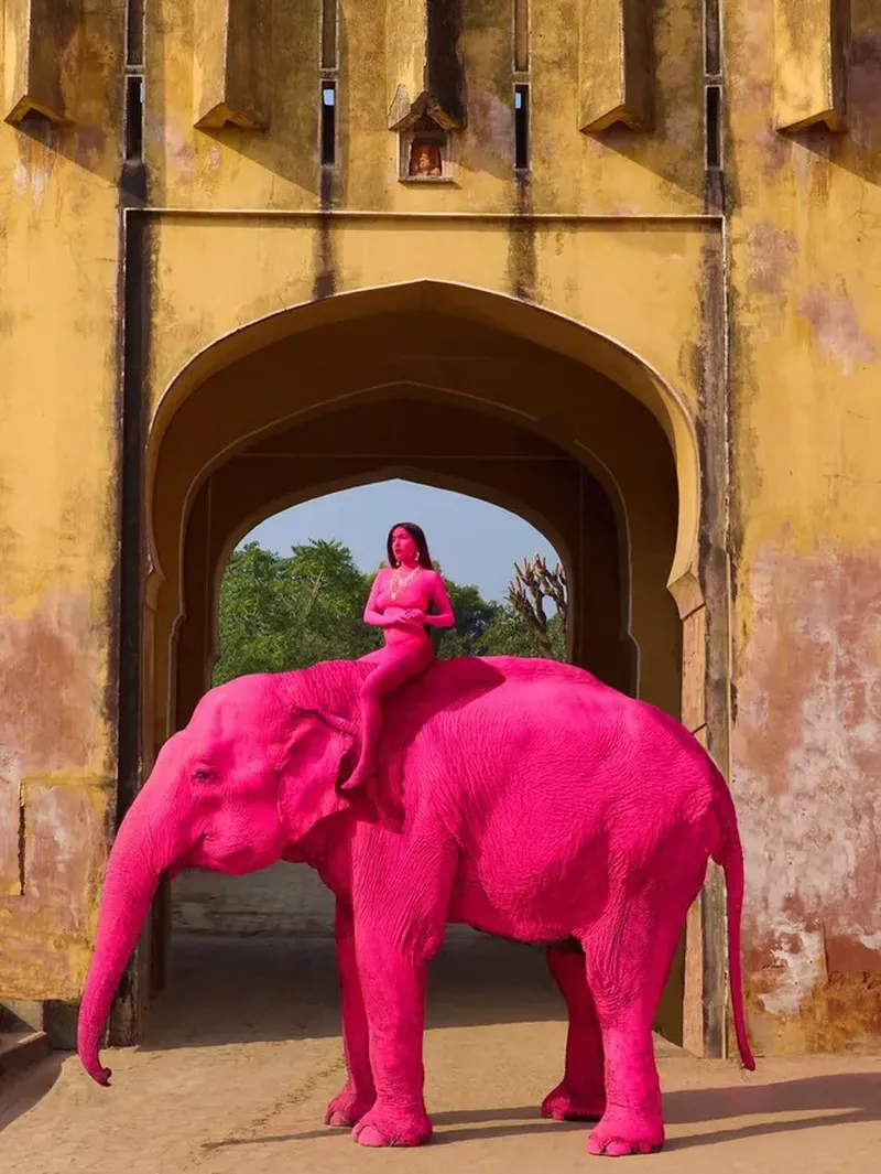 Изрображение 'В Индии умерла слониха, которую блогерша покрасила в розовый цвет ради фотосессии'