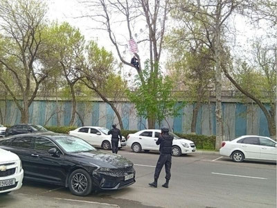Изрображение 'В Ташкенте мужчина, недовольный судебным решением, забрался на дерево'