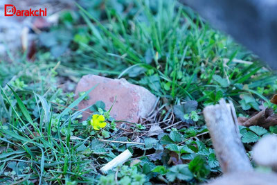 'Bugun harorat pasayib, ayrim joylarda yomg‘ir yog‘adi'ning rasmi