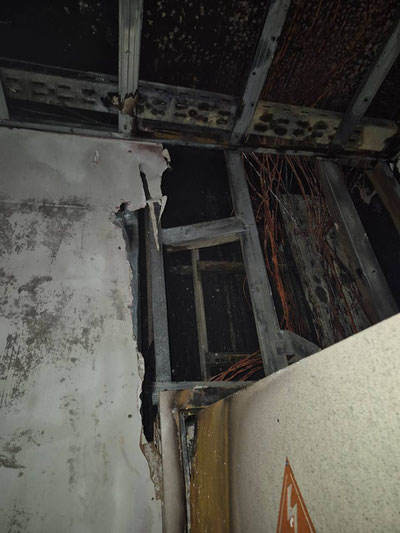 Image of 'Did it rain in "O'z Zamin"?'