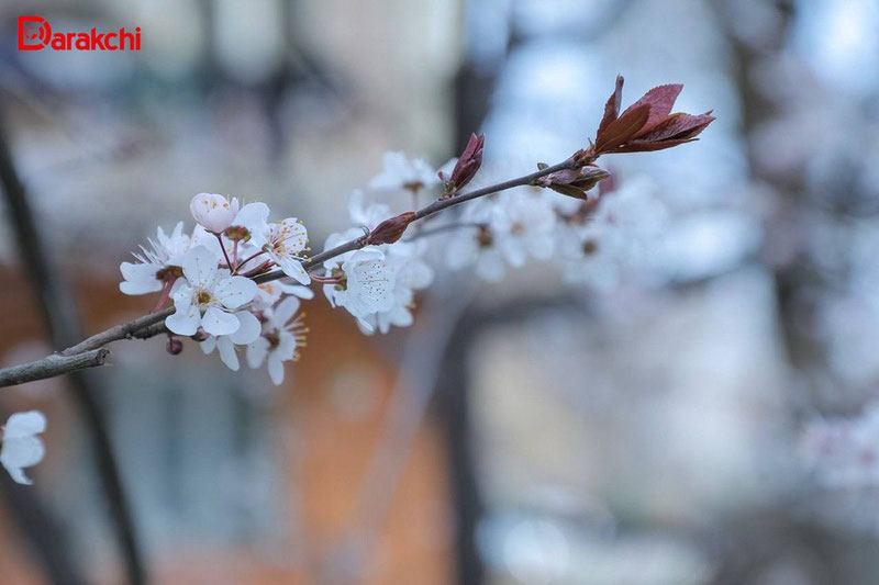 'Бугун об-ҳаво ўзгарувчан бўлади'ning rasmi