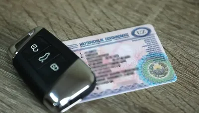 Image of 'A fraudster who tried to obtain "rights" in Surkhandarya was detained.'