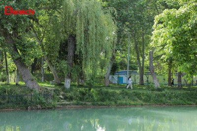 Изрображение 'В Узбекистане на наступившей неделе ожидаются дожди с грозами'