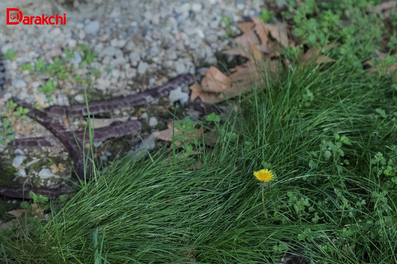 Изрображение 'В Ташкенте сегодня временами дождь'