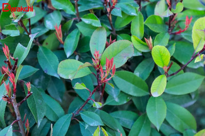 'Маданият вазирлиги санъаткорларни солиққа тортишда енгиллик сўради'ning rasmi