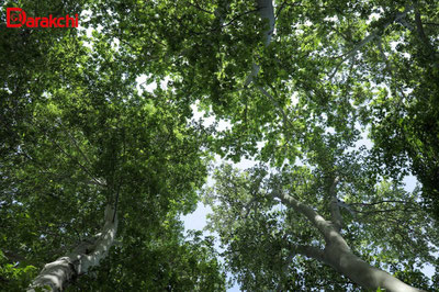 Изрображение 'Какая погода нас ждет в предстоящие выходные?'