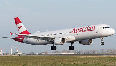 Изрображение 'В Австрии пчела сорвала взлёт пассажирского самолёта'