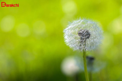 'Bugun ob-havo qanday?'ning rasmi