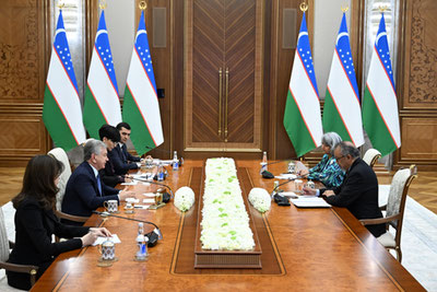 Изрображение 'Президент Узбекистана принял главу ВОЗ'