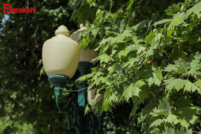 Изрображение 'В Ташкенте к вечеру возможен небольшой кратковременный дождь'