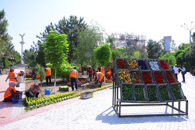 Изрображение 'Более 150 млн цветов: Наманган готовится к рекорду Гиннесса'