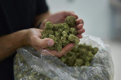 Image of 'An attempt was made to bring in more than 24 kilograms of "hashish" from a neighboring country.'