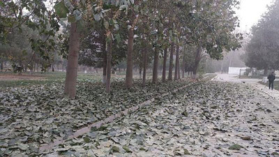 Изрображение 'Узгидромет опроверг слухи о «пыльных бурях» и экстремальном лете'