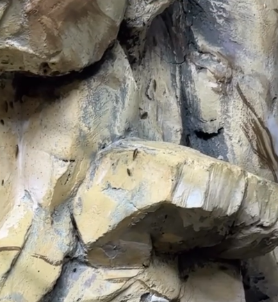 Изрображение 'Зоопарк Ташкента прокомментировал видео с тараканами из вольера с приматами'