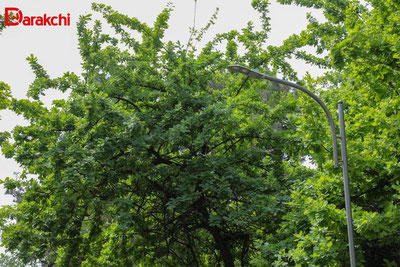 Изрображение 'На выходных в Узбекистане потеплеет до +35'