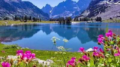 'Bugun ob-havo o‘zgaruvchan bo‘ladi'ning rasmi