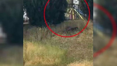 Изрображение 'В Андижане сломалась конструкция аттракциона: пострадали 2 человека'