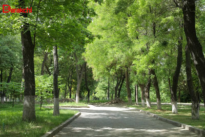 Изрображение 'В Ташкенте сегодня возможен небольшой кратковременный дождь'