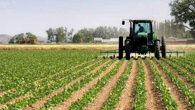 Изрображение 'Для агропроектов от $10 млн вводят прямую долгосрочную аренду земли'