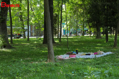 Изрображение 'Жара нарастает: в Ташкенте сегодня уже +32'